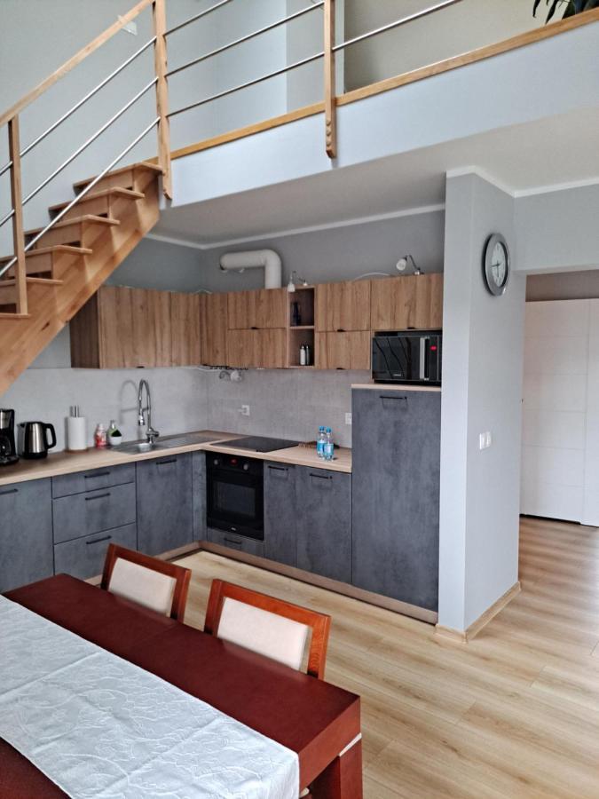 Jelonek Apartment Jelenia Gora Exterior photo